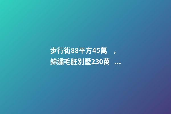 步行街88平方45萬，錦繡毛胚別墅230萬，城南自建房273平帶院165萬